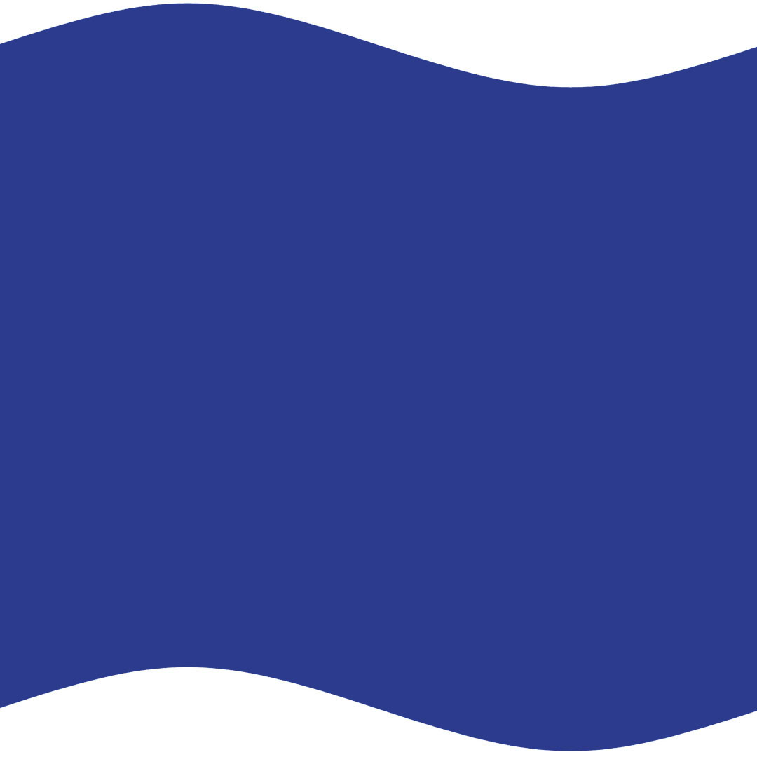logo sello RSA 2025